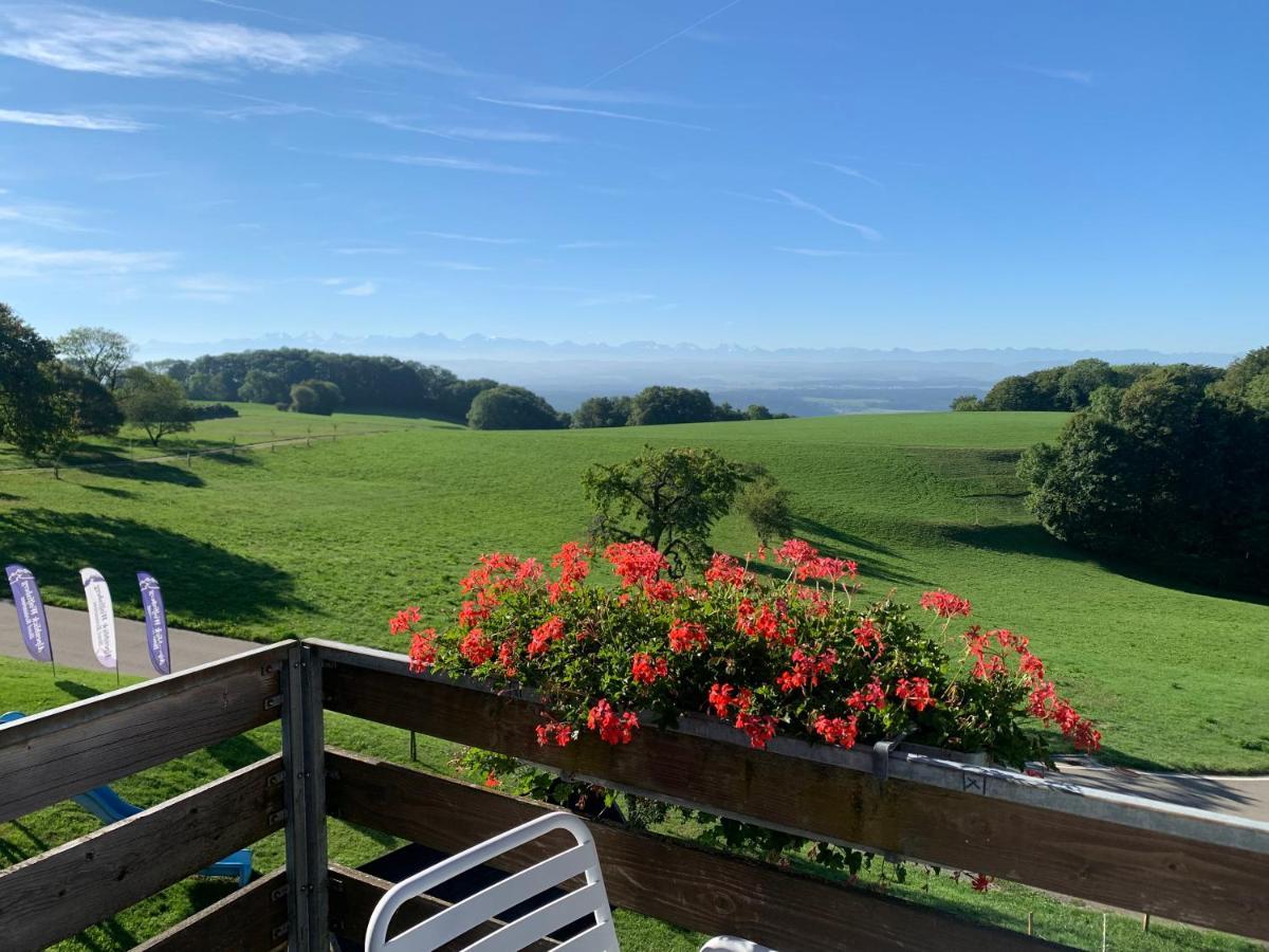 Wolfisberg Hotel Restaurant Alpenblick المظهر الخارجي الصورة